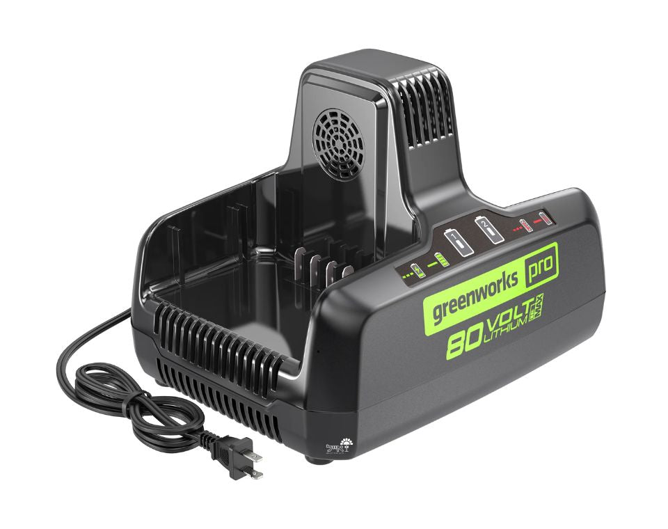 מטען מהיר 80V | Dual Port