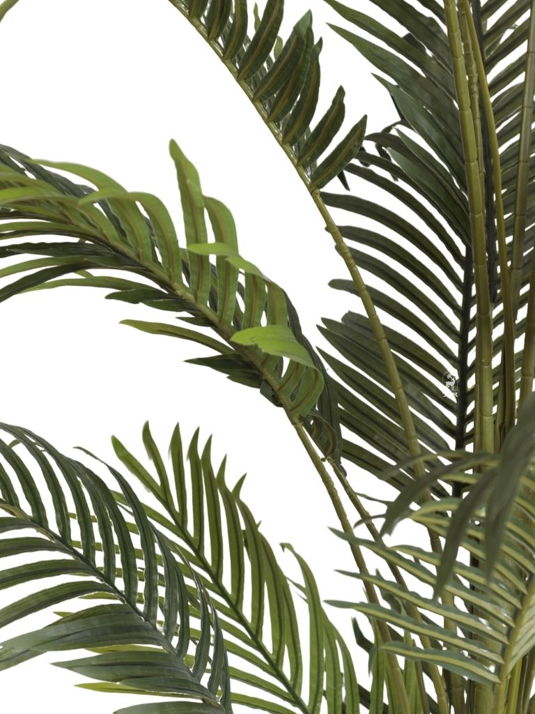 עציץ דקל מלאכותי | גובה 240 ס״מ