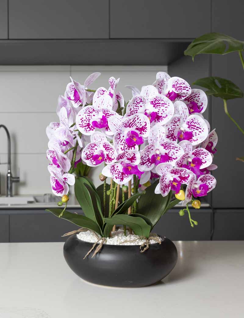 עציץ סחלב מלאכותי בקערה שחורה