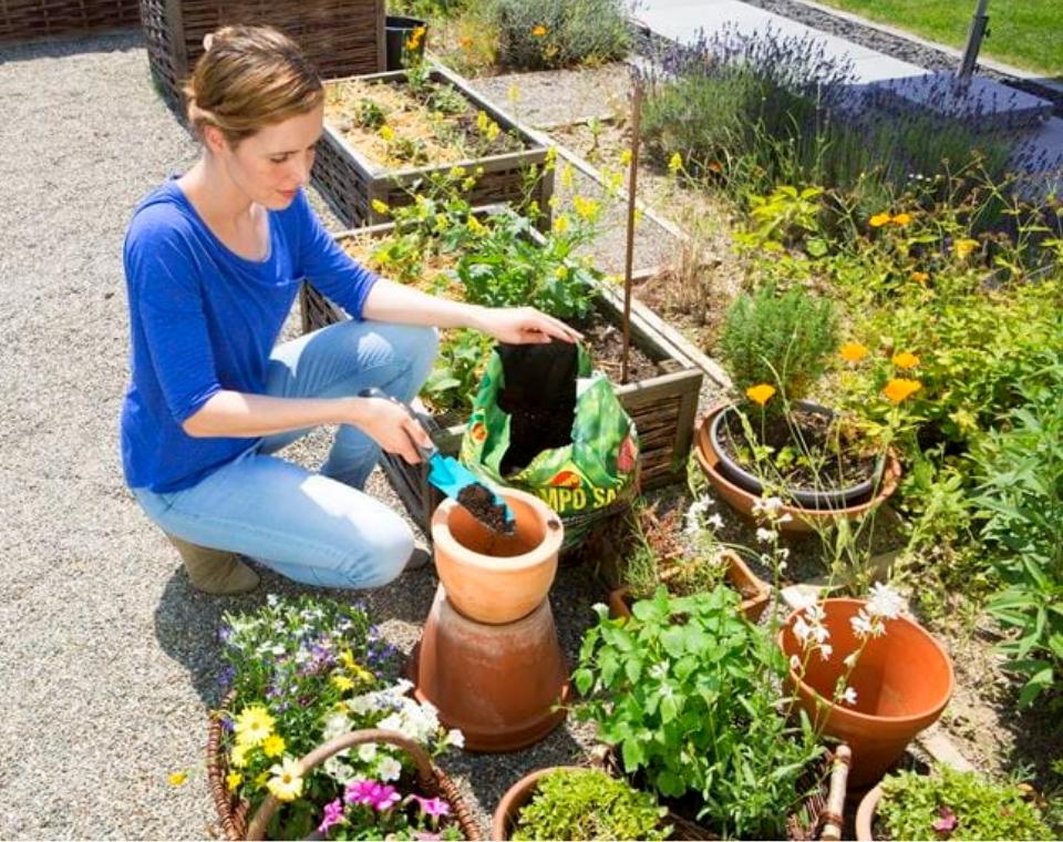 אישה שותלת צמחים בעציץ גינה, מוקפת פרחים ועציצים, גינון ביתי בחצר