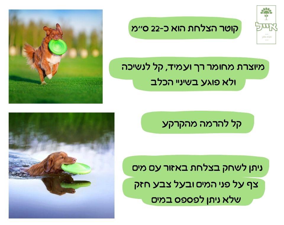צלחת מעופפת | דו צדדית | קוטר 22 ס''מ - משתלת אייל