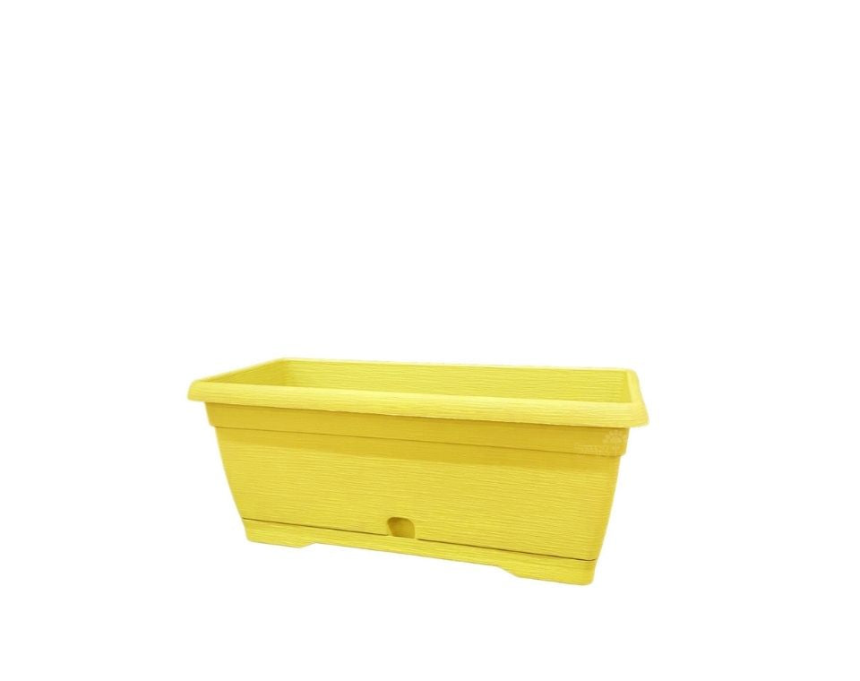 אדנית צבר | צהוב | 35 ס״מ