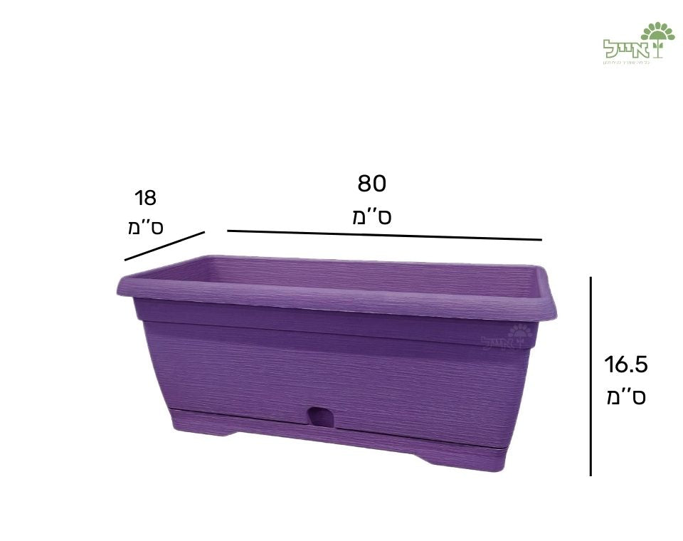 אדנית צבר | סגול | 80 ס״מ