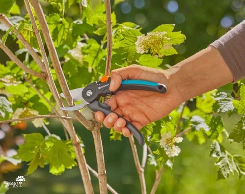 מזמרה ידנית מקצועית | דגם 12242-20 | GARDENA