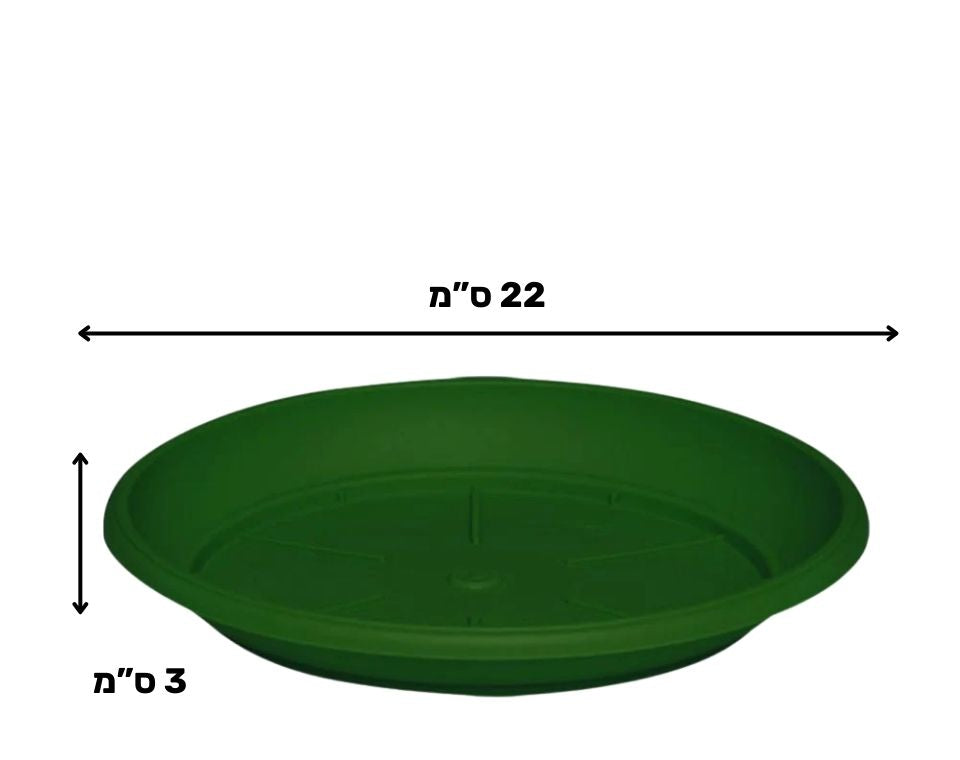 צלחת ערד | תחתית בקוטר 22 ס"מ | גובה 3 ס"מ | ירוק כהה