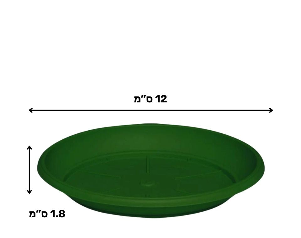 צלחת ערד | תחתית בקוטר 12 ס"מ | גובה 1.8 ס"מ | ירוק כהה