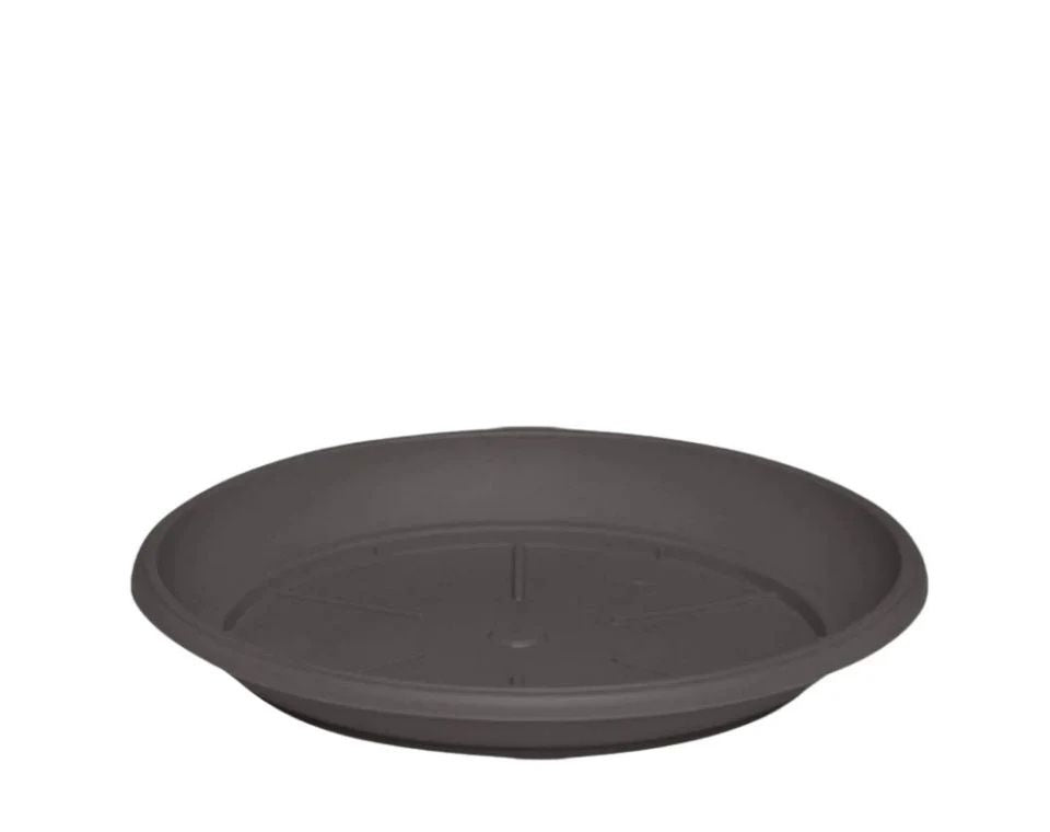 צלחת ערד | תחתית בקוטר 15 ס"מ | גובה 2.2 ס"מ | חאקי