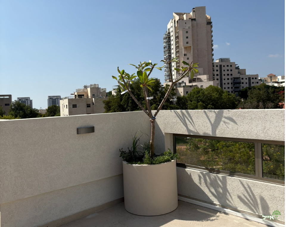 מרפסת בסגנון ים תיכוני מודרני | כדי בז׳ ושמנת שונים בעיצוב מקצועי | מודיעין