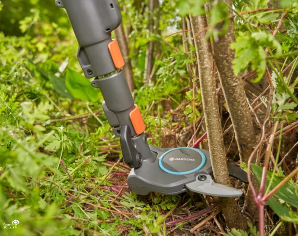 מזמרת גובה | גובה 175-650 ס"מ | StarCut Pro - משתלת אייל