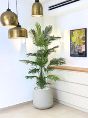 עץ מלאכותי דקל | כד מדיסון גדול | גובה 2.10 מטר