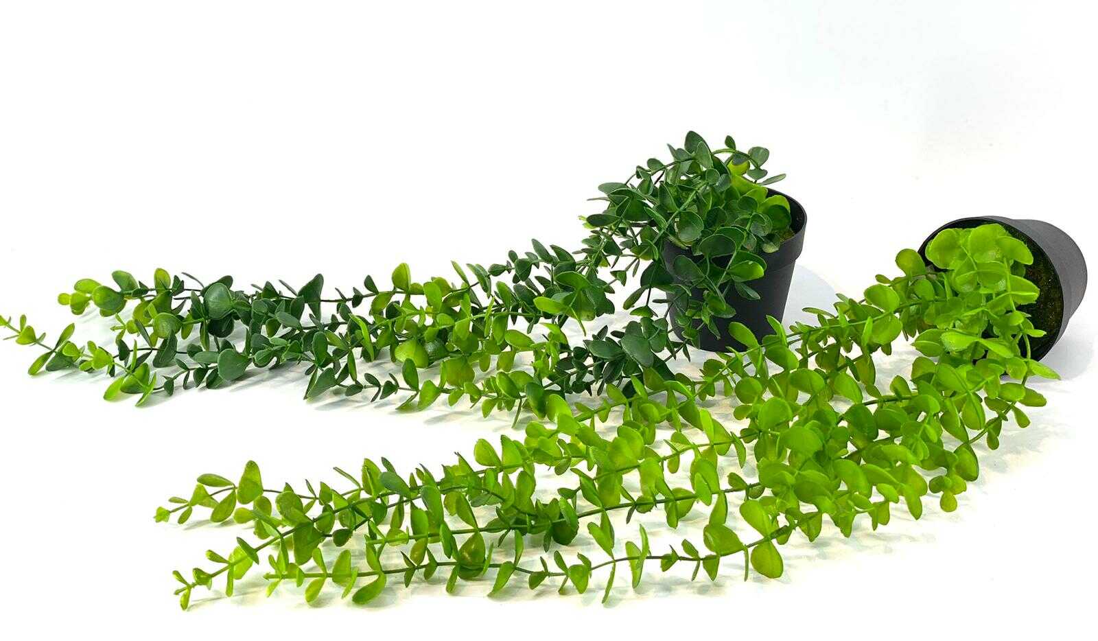 גולש ירוק מלאכותי קלאסי