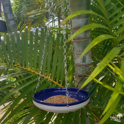 קערת קרמיקה להאכלה והשקיה של ציפורים | דגם 1124 | 20X38.5 | כחול