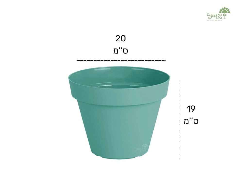 עציץ אביב | מנטה | קוטר 20 ס"מ