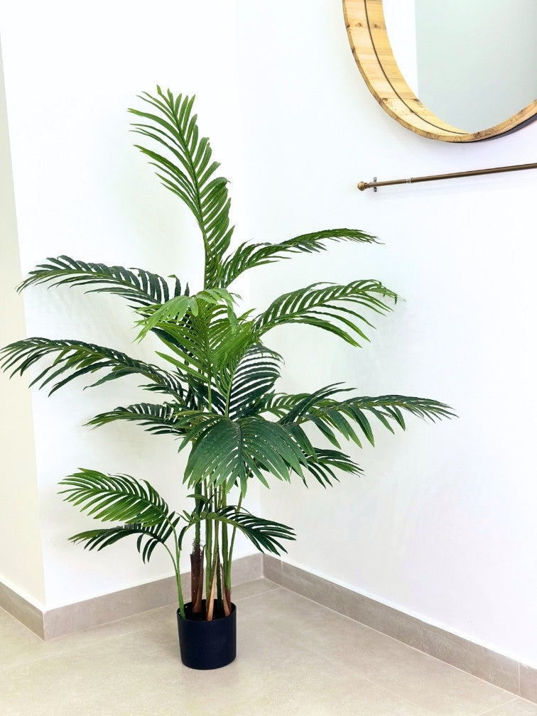 עץ דקל | גובה 150 ס''מ