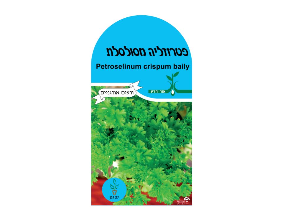 פטרוזיליה מסולסלת | כ-100 זרעים