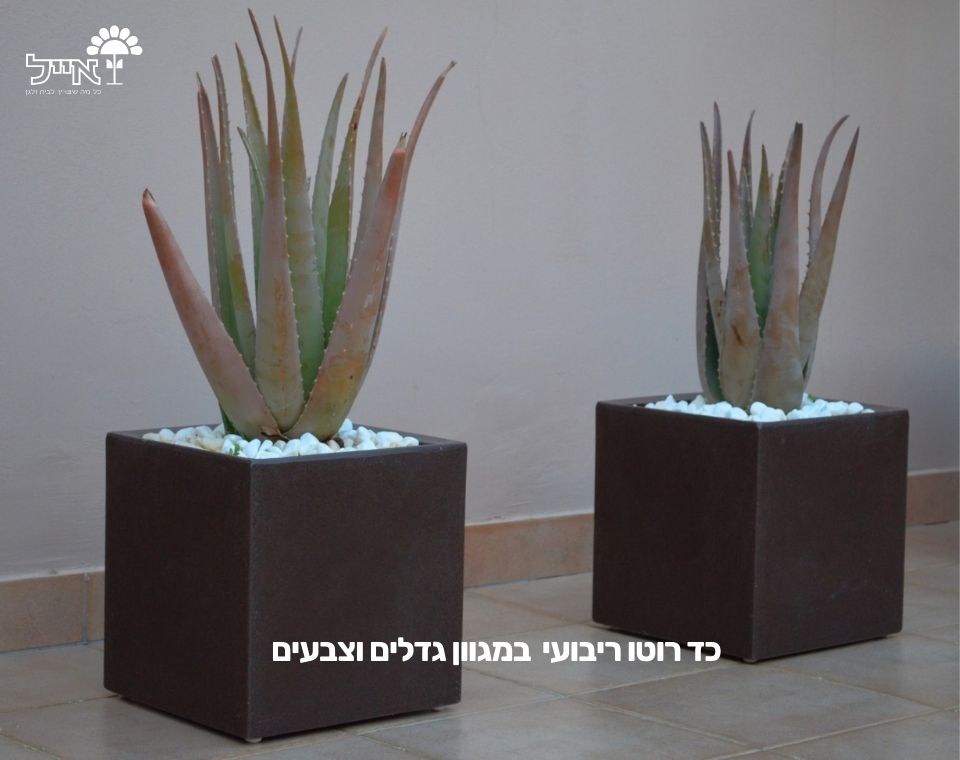 כד רוטו ריבועי | לבן | 45X45X45 ס''מ