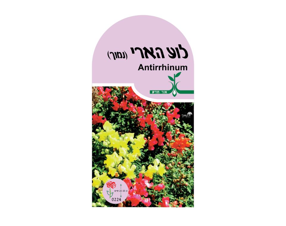 לוע הארי - נמוך | כ-80 זרעים