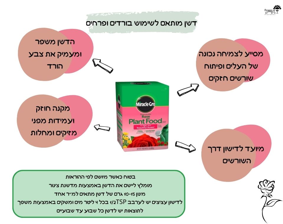 דשן מירקל-גרו לורדים | לסיוע צמיחה תקינה ועמידה | 675 גרם