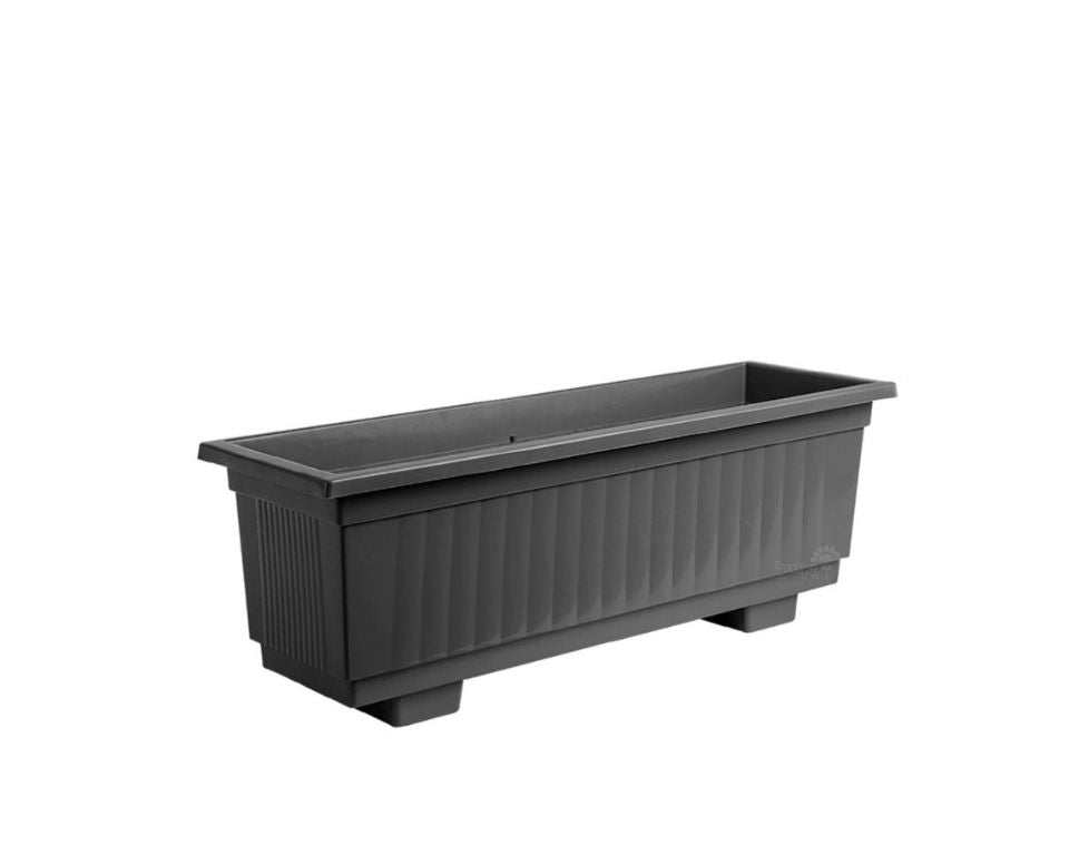 אדנית תבור | פחם | 75 ס״מ