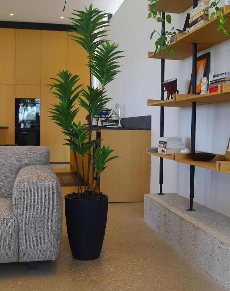 כד פמילי | 45 ס״מ | צמח דרצנה ג'מייקה מלאכותי