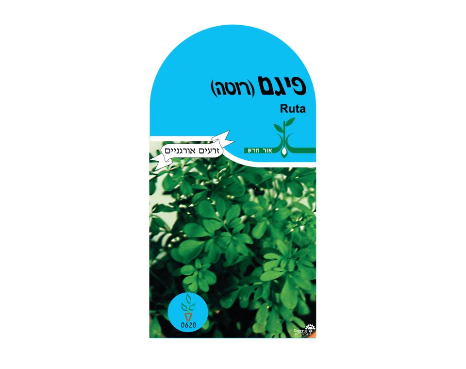 רוטה (פיגם) | כ-25 זרעים