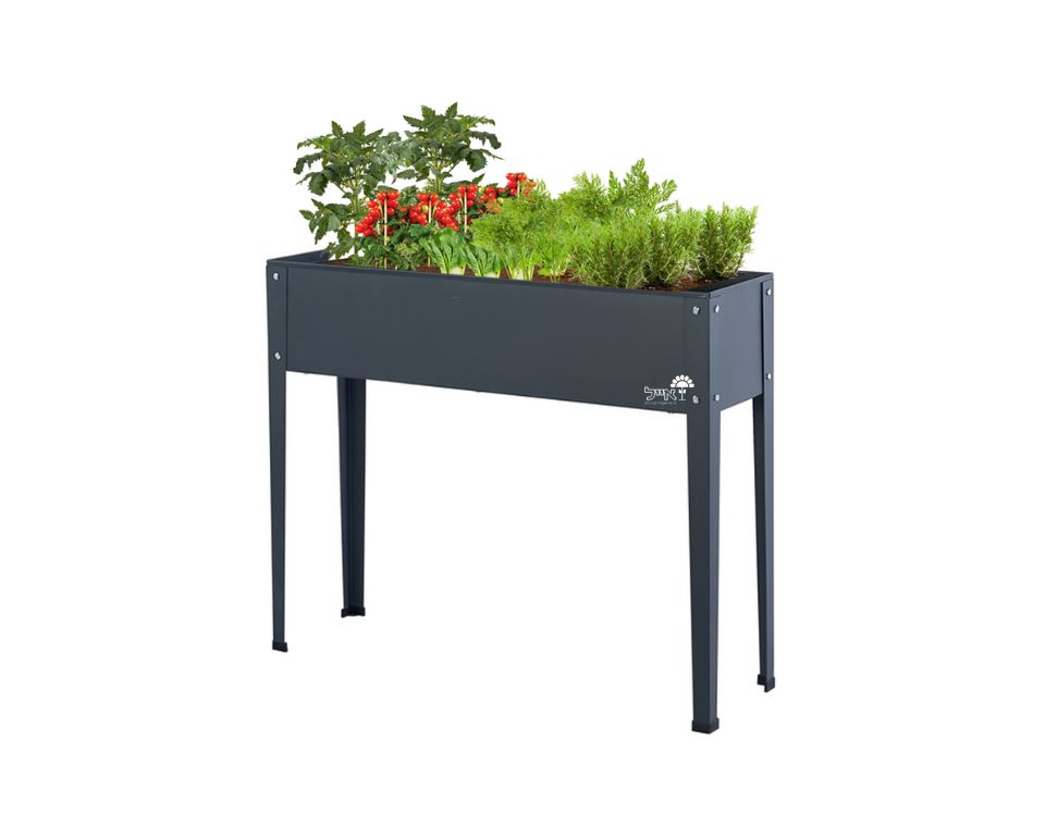 אדנית מתכת לגידול צמחים | דגם 1902 | 98X82 | שחור