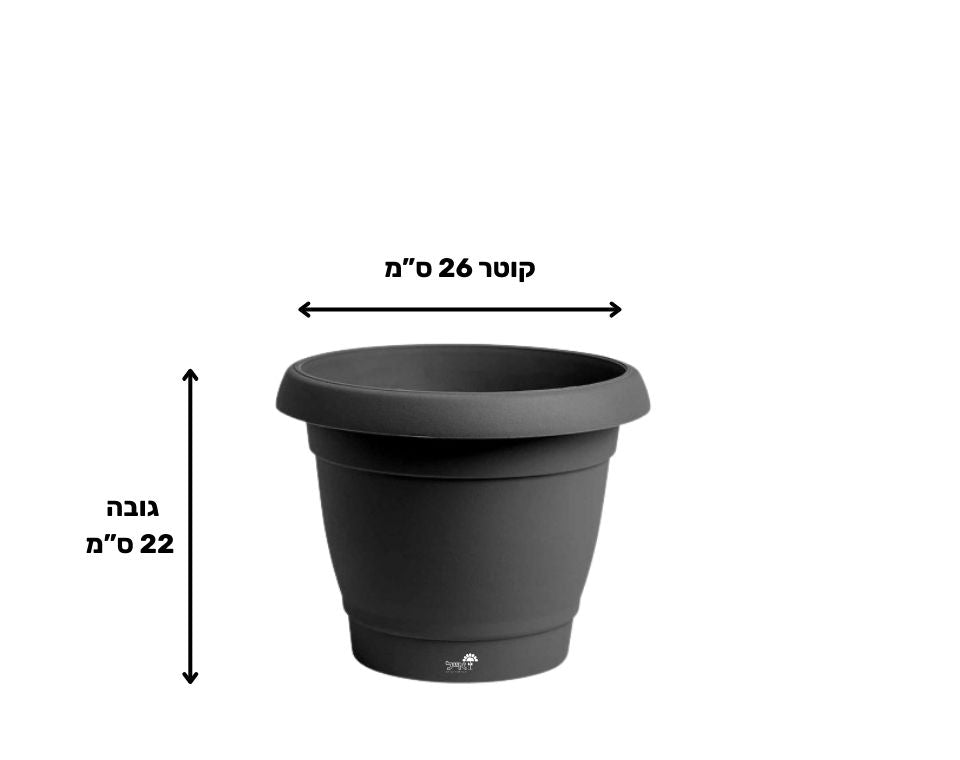 עציץ כרמל | פחם | קוטר 26 ס"מ | 6 ליטר של Eyal – מבט מקרוב על הפרטים