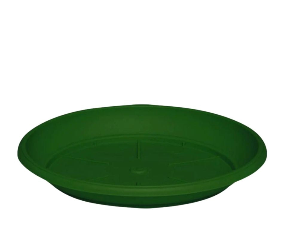 צלחת ערד | תחתית בקוטר 43 ס"מ | גובה 5 ס"מ | ירוק כהה