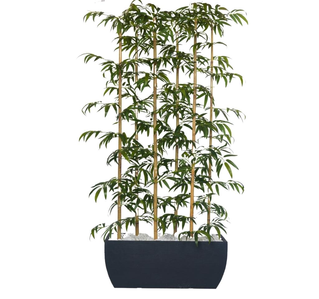 אדנית גונדולה גדולה ו6 מוטות במבוק | גובה 220 ס"מ