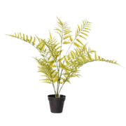 שרך דבליה | מלאכותי