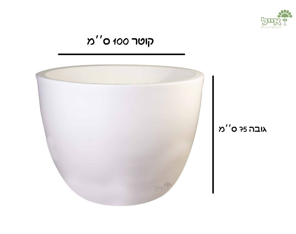 קערת רקפת | 100X75 ס''מ | לבן