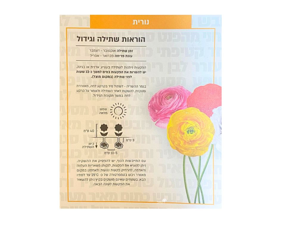 תערובת נורית | 10 יחידות