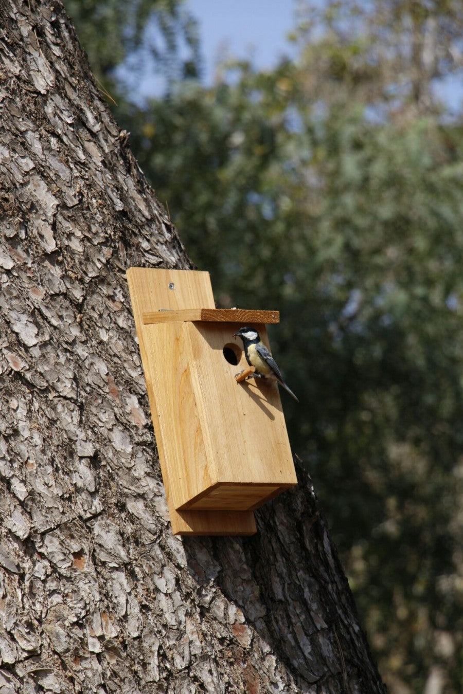 תיבת קינון לציפורים | 36X15 | דגם אלה | עץ