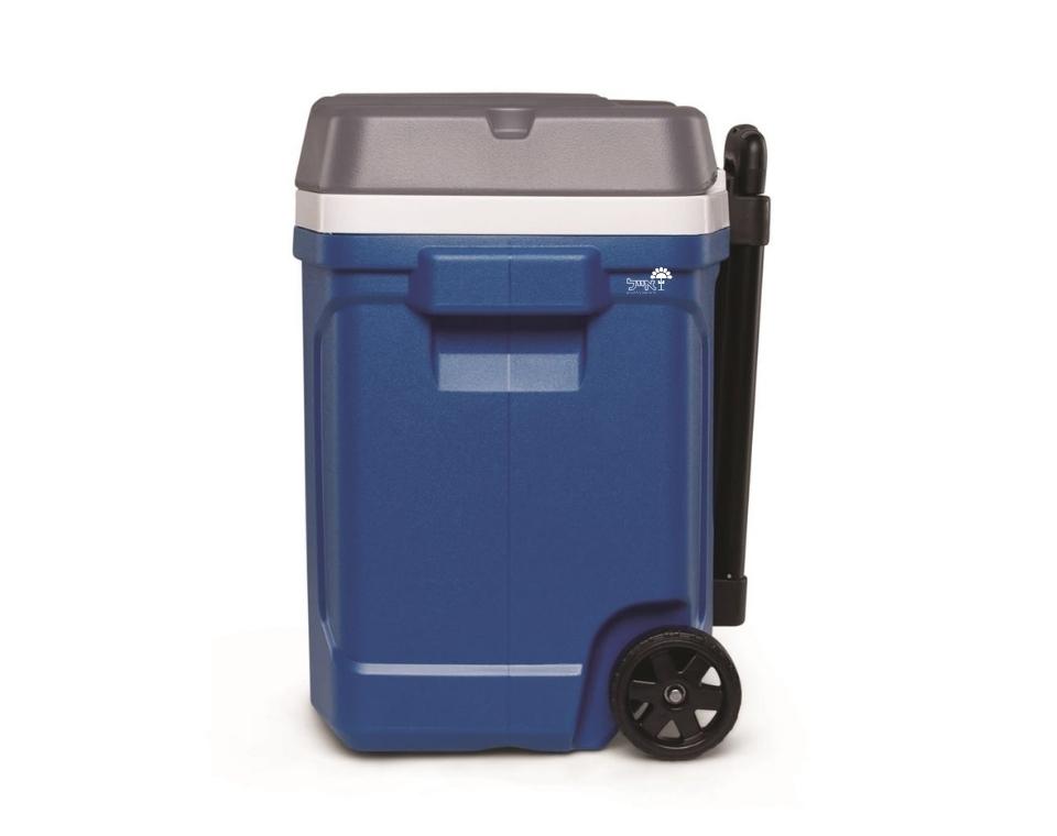 צידנית קשיחה עם גלגלים | 56 ליטר | IGIOO