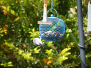 מתקן האכלה כדורי ממתכת לציפורים | 11X12 | כחול