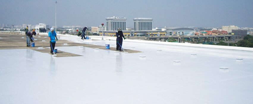 מריס 250 לבן | 20 ק״ג