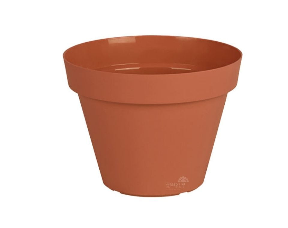 עציץ אביב | חרדל | קוטר 25 ס"מ