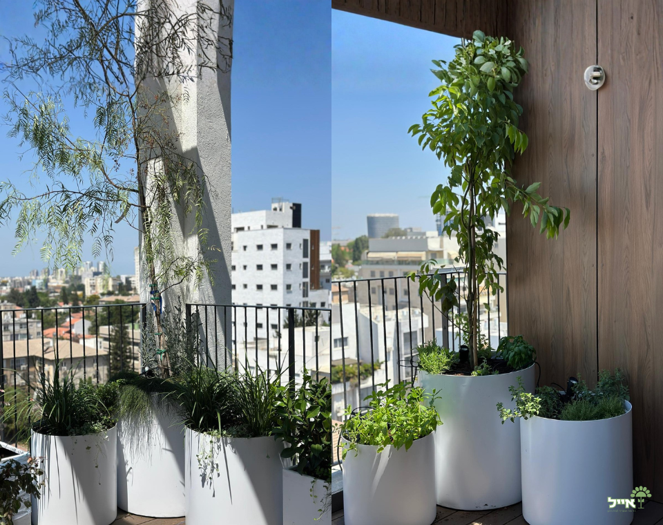 מרפסת בסגנון אורבני מודרני | אדניות וכדי אלומיניום בעיצוב אישי | רחובות