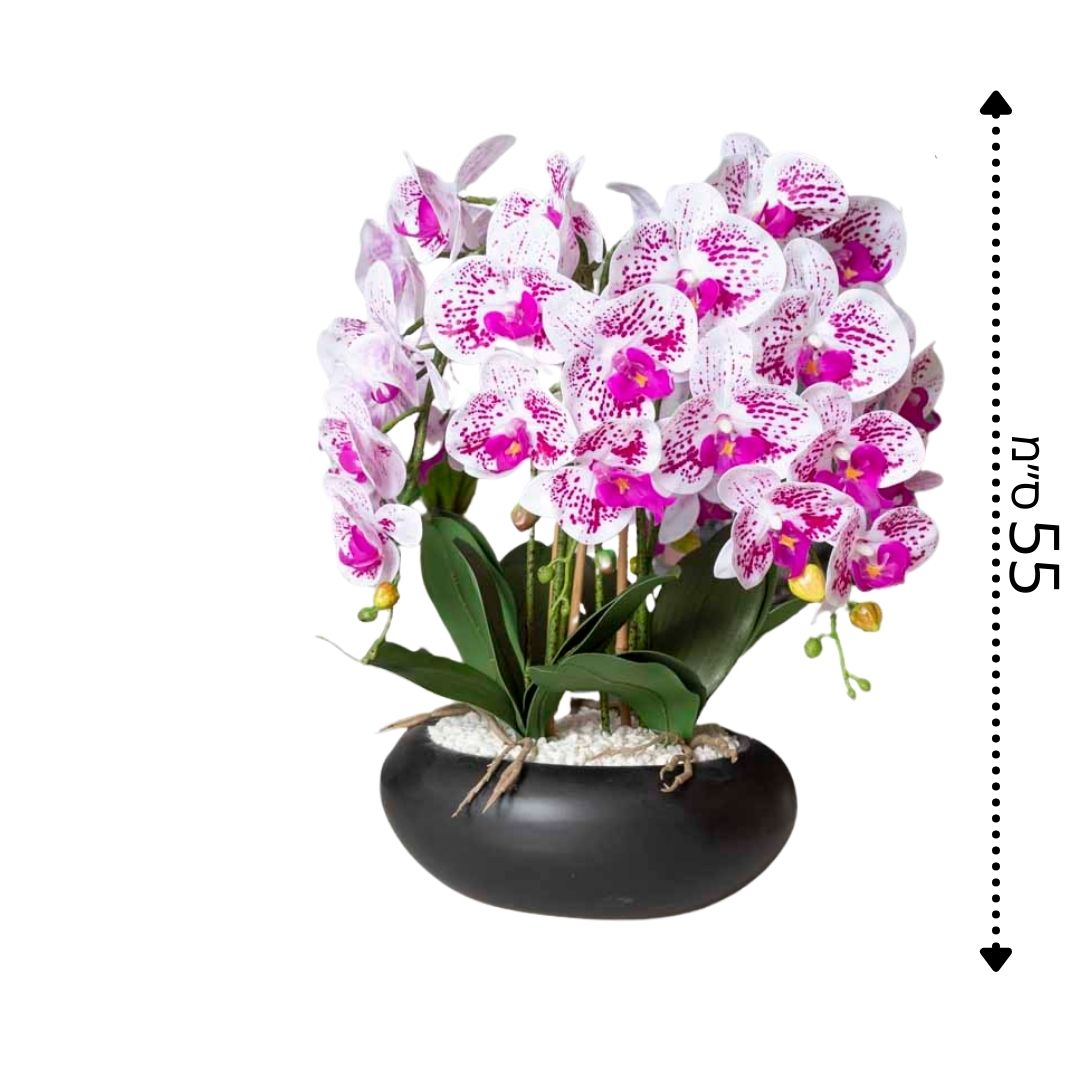 עציץ סחלב מלאכותי בקערה שחורה