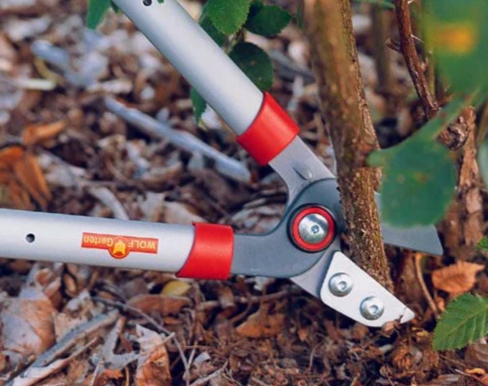 מזמרת ענפים | WOLF GARTEN | RS650