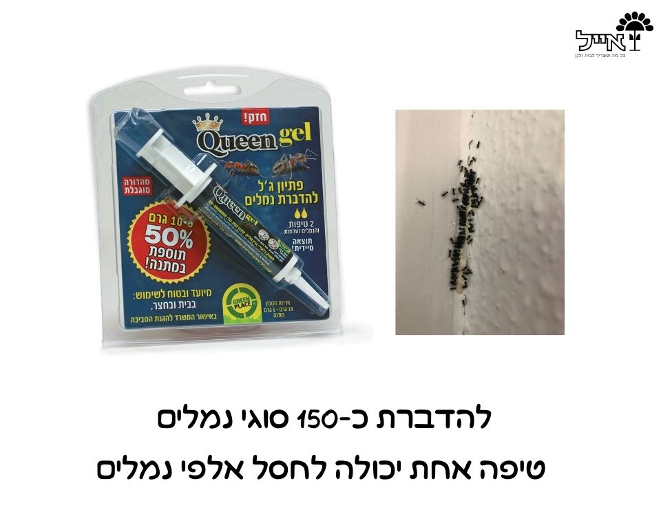 ג'ל נמלים | קוטל נמלים בבית ובחצר | יחידה אחת