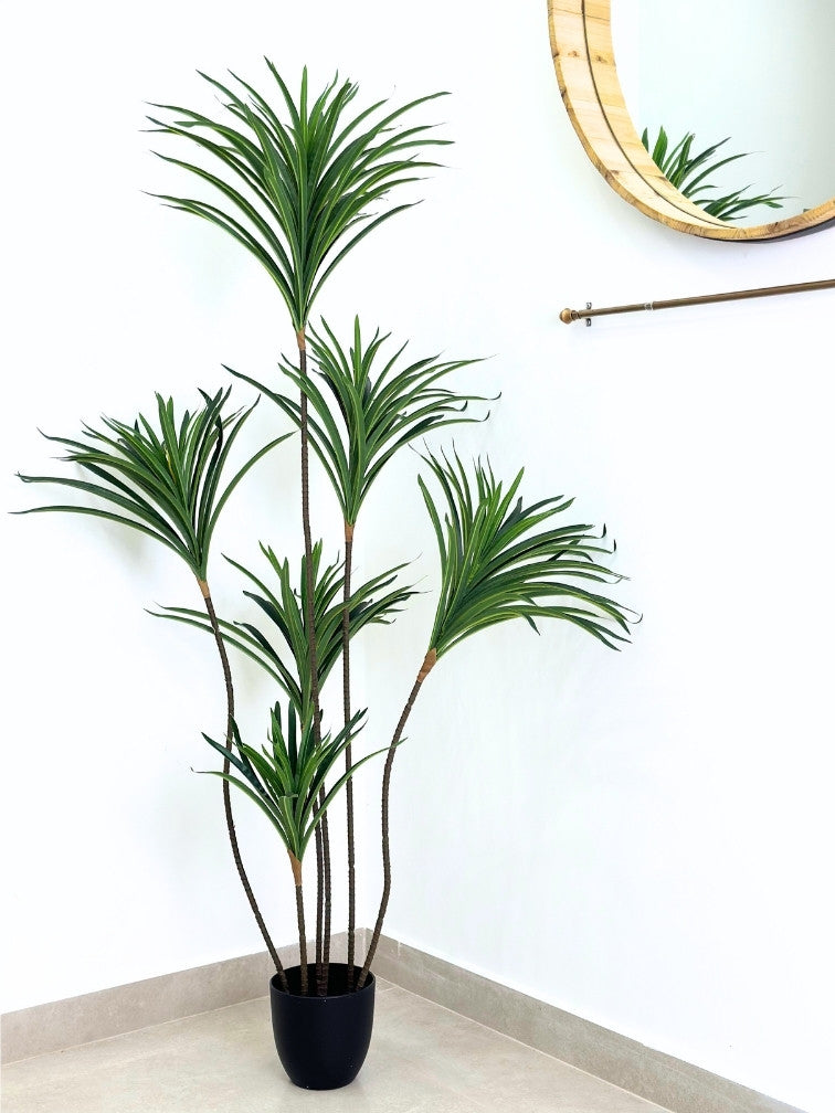 עציץ מלאכותי יוקה | גובה 150 ס"מ