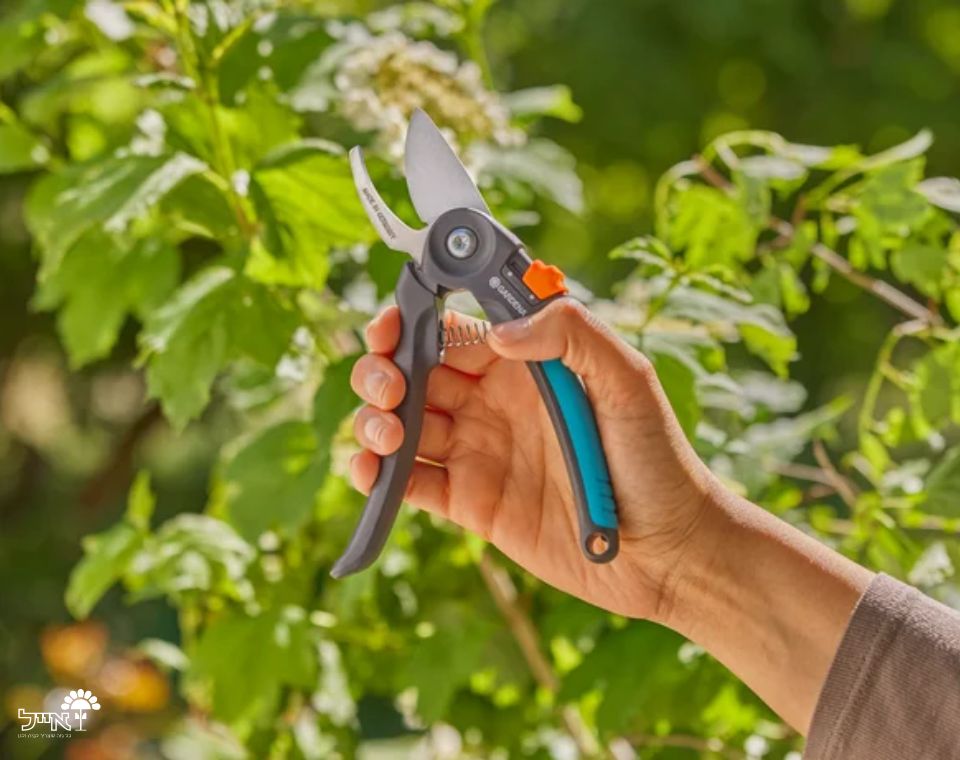 מזמרה ידנית מקצועית | דגם 12241 | GARDENA