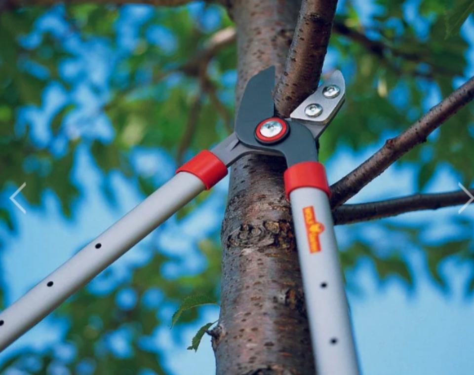 מזמרת ענפים | WOLF GARTEN | RS650