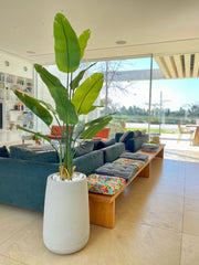 ציפור גן עדן מלאכותי | בכד מדיסון | בגובה 212 ס"מ | דגם 551