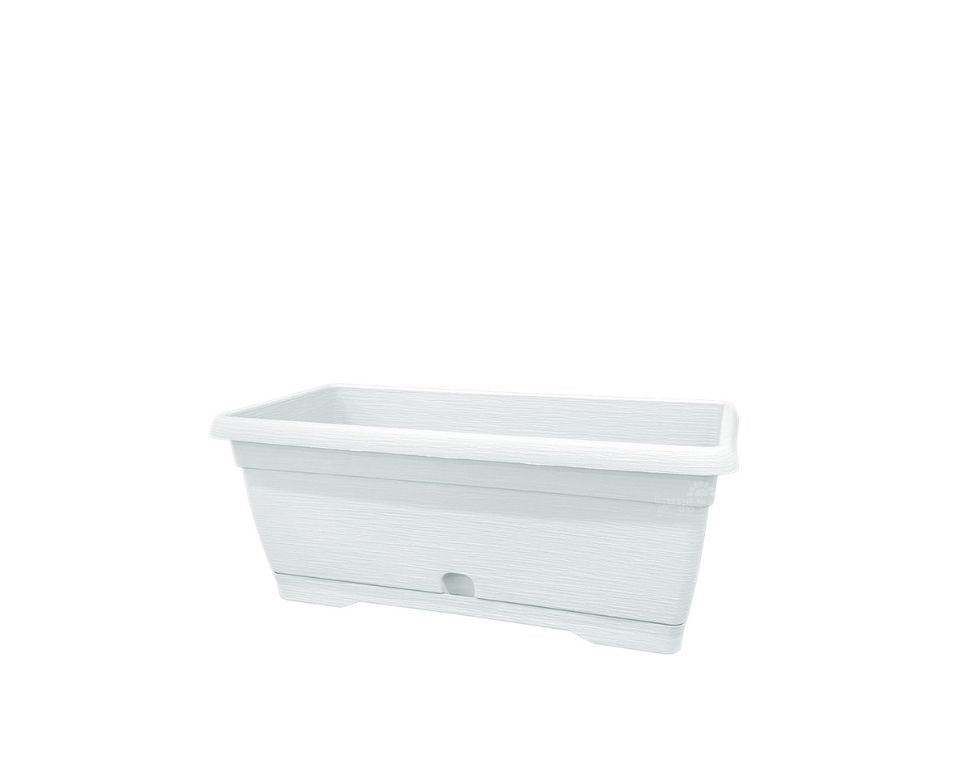 אדנית צבר | לבן | 25 ס״מ