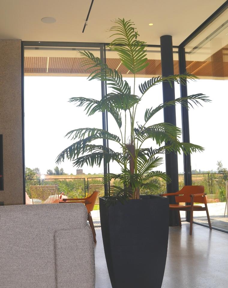 כד קוני רחב | 76 ס״מ | צמח דקל קנציה מלאכותי