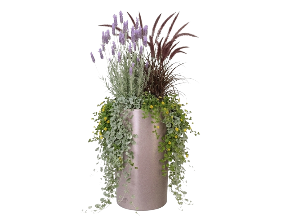 כד מוכן עם צמחיה | לבנדר מנוצה, זיף נוצה, 4 דיכונדרה כסופה ו-4 וידליה | 5 צבעים לבחירה | 40X80