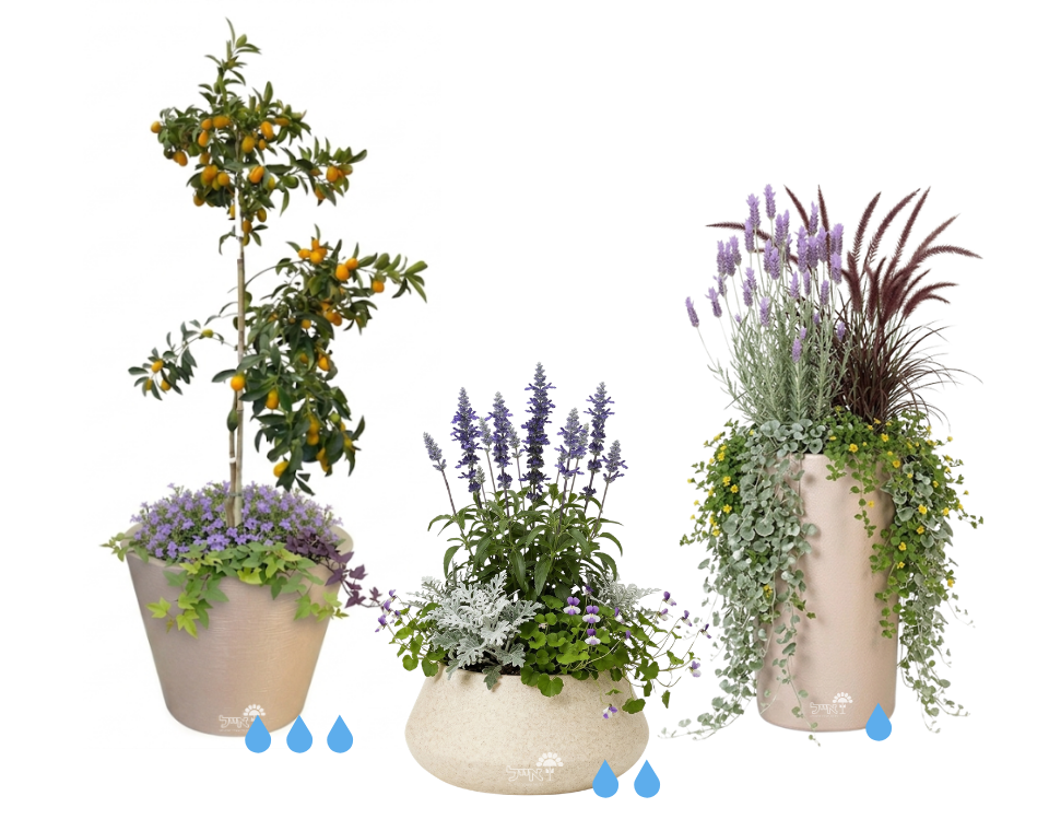 סט 3 כדים מוכנים עם צמחיה | זיף נוצה, לבנדר מנוצה, מרווה אינדיגו, תפוז סיני ועוד | 5 צבעים לבחירה