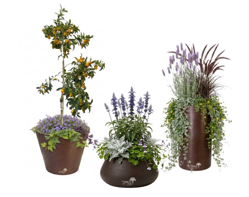 סט 3 כדים מוכנים עם צמחיה | זיף נוצה, לבנדר מנוצה, מרווה אינדיגו, תפוז סיני ועוד | 5 צבעים לבחירה